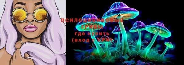 spice Абаза