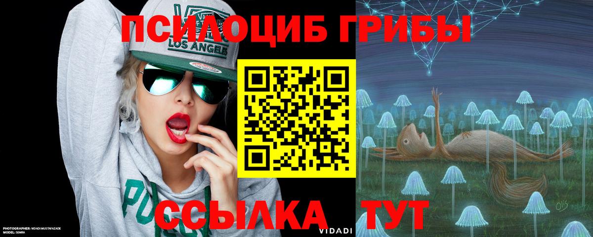 Галлюциногенные грибы Psilocybe Краснодар