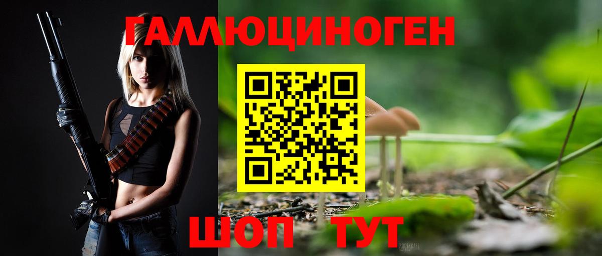 Галлюциногенные грибы Psilocybe  Вход с VPN  Псилоцибиновые грибы прущие грибы  Краснодар 
