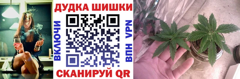дарнет шоп  Краснодар  Канабис LSD WEED 